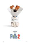 Pets 2