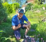 Ein Garten für Bienen und Schmetterlinge